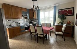 Casa de vanzare, 260mp, teren, 1000 mp, zona Unirea