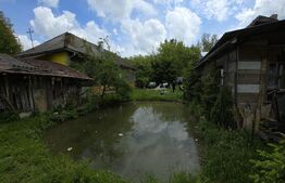 Casa 3 camere, 100 mp, teren, 2000 mp, zona Vest