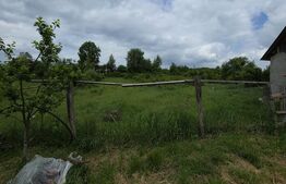 Casa 3 camere, 100 mp, teren, 2000 mp, zona Vest