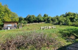 Casa, 131mp, teren, 8 ari, Valea Jelnei