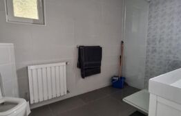 Casă, 250 mp, teren, 1300 mp, Zona:Subcetate