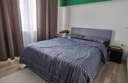 Casă, 250 mp, teren, 1300 mp, Zona:Subcetate