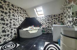 Casa duplex in Unirea, 6 dormitoare, 320 mp utili per unitate 