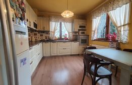 Casa duplex in Unirea, 6 dormitoare, 320 mp utili per unitate 