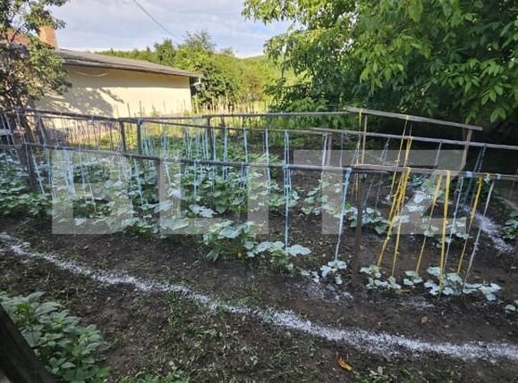 Casa de vânzare 3 camere Viișoara - 147859CV | BLITZ Bistriţa | Poza4