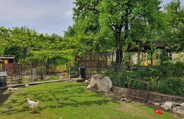 Casa 3 camere, 100mp, 1,62 Ha teren, Arcalia