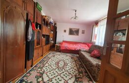 Casa 3 camere, 100mp, 1,62 Ha teren, Arcalia