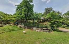 Casa 3 camere, 100mp, 1,62 Ha teren, Arcalia