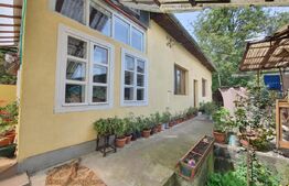 Casa 3 camere, 100mp, 1,62 Ha teren, Arcalia