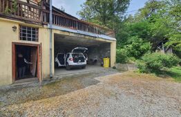 Casa 3 camere, 100mp, 1,62 Ha teren, Arcalia