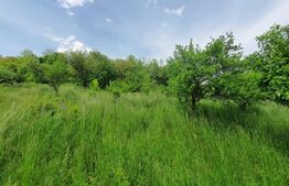 Casa 3 camere, 100mp, 1,62 Ha teren, Arcalia