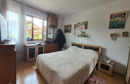 Casa 3 camere, 100mp, 1,62 Ha teren, Arcalia