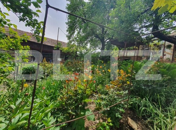 Casa de vânzare 3 camere Periferie - 147860CV | BLITZ Bistriţa | Poza6