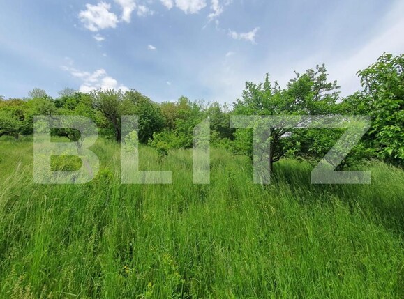 Casa de vânzare 3 camere Periferie - 147860CV | BLITZ Bistriţa | Poza13