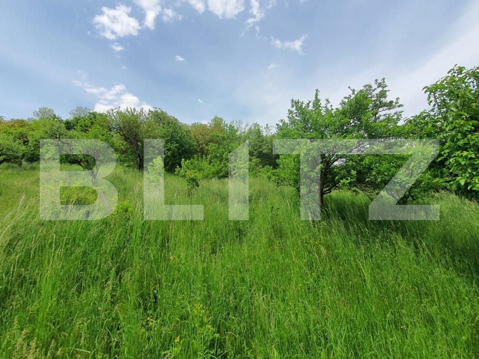 Casa de vânzare 3 camere Periferie - 147860CV | BLITZ Bistriţa | Poza13