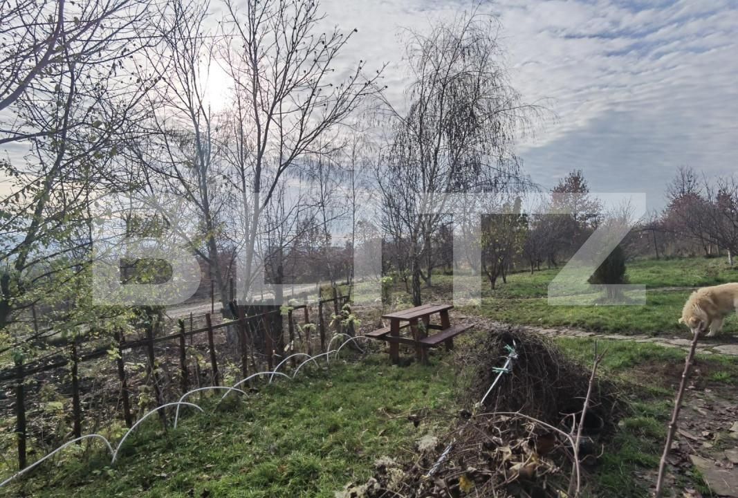 Casa de vânzare 3 camere Cetății - 147867CV | BLITZ Bistriţa | Poza4