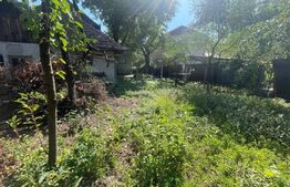 Casa ultracentral, 180 mp, teren, 700mp