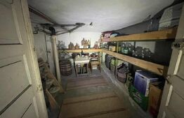 Casa ultracentral, 180 mp, teren, 700mp