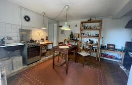 Casa ultracentral, 180 mp, teren, 700mp