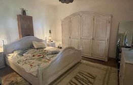 Casa ultracentral, 180 mp, teren, 700mp