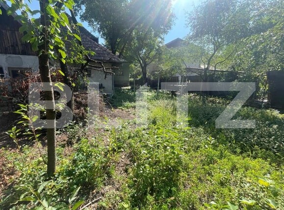 Casa de vânzare 4 camere Central - 147909CV | BLITZ Bistriţa | Poza19