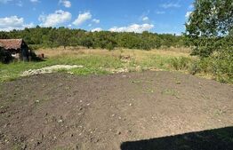 Casa 4 camere 140mp utili terasa 40mp si 58 ari de teren finisaje 2023