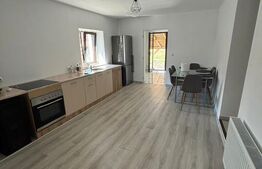 Casa 4 camere 140mp utili terasa 40mp si 58 ari de teren finisaje 2023