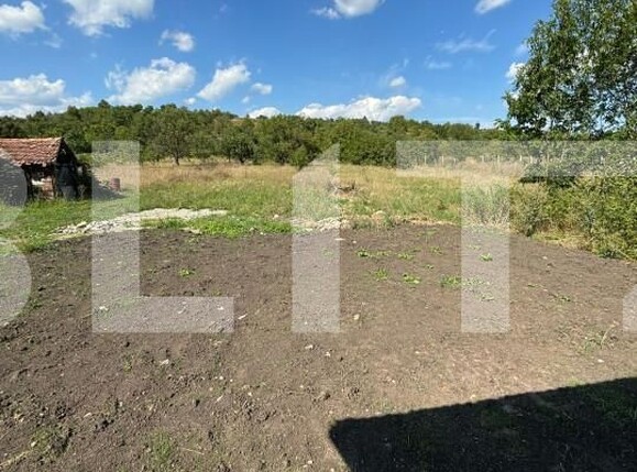 Casa de vânzare 4 camere Unirea - 147937CV | BLITZ Bistriţa | Poza14