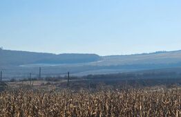 Oportunitate: 50 Ha de Teren Ideal pentru Agricultură sau Parc Fotovoltaic