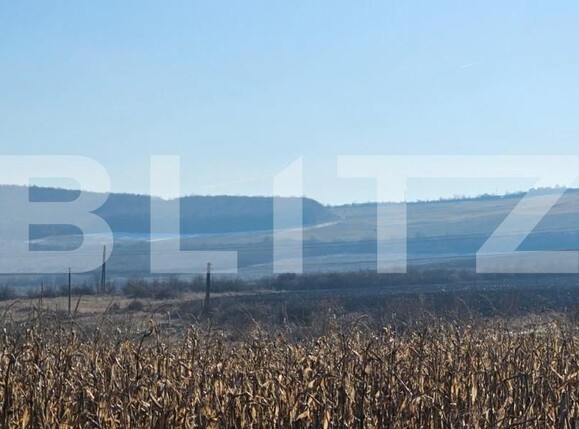 Teren de vânzare Exterior Vest - 147939TV | BLITZ Bistriţa | Poza1