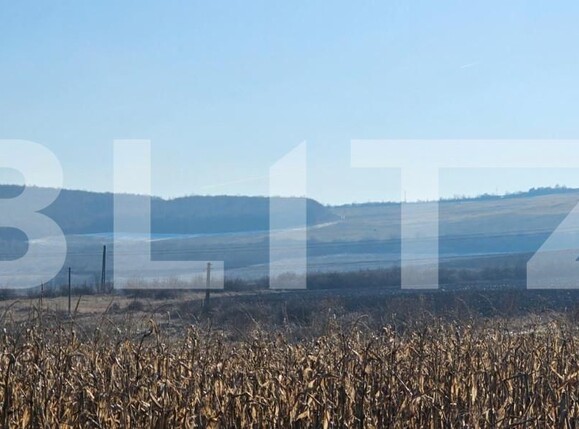 Teren de vânzare Exterior Vest - 147939TV | BLITZ Bistriţa | Poza1