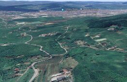 Teren de 11.5 ari (1150 mp) într-o zonă liniștită, în plină dezvoltare, cu acces la electricitate