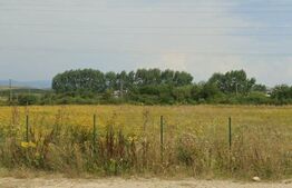 Teren intravilan de vânzare – 9.200 mp – Săretel, lângă DN17 – oportunitate !