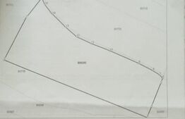 Teren extravilan ,1000mp ,zona Cighir