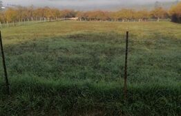 Teren intravilan 3600mp, Posmus 