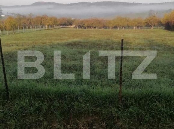 Teren de vânzare Est - 148123TV | BLITZ Bistriţa | Poza1