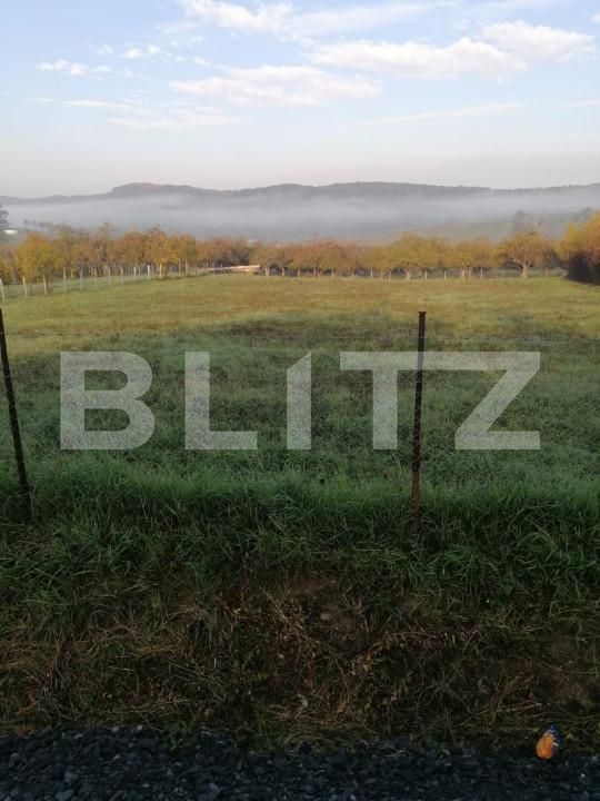 Teren de vânzare Est - 148123TV | BLITZ Bistriţa | Poza1