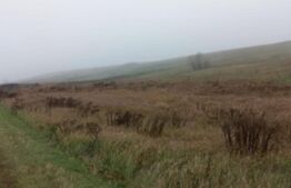 Teren 7700mp, situat la soseaua principala E58