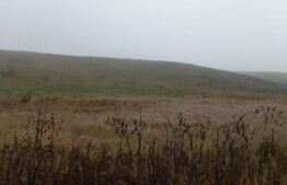 Teren 7700mp, situat la soseaua principala E58