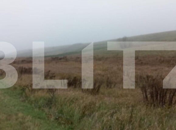 Teren de vânzare Sud-Vest - 148124TV | BLITZ Bistriţa | Poza1