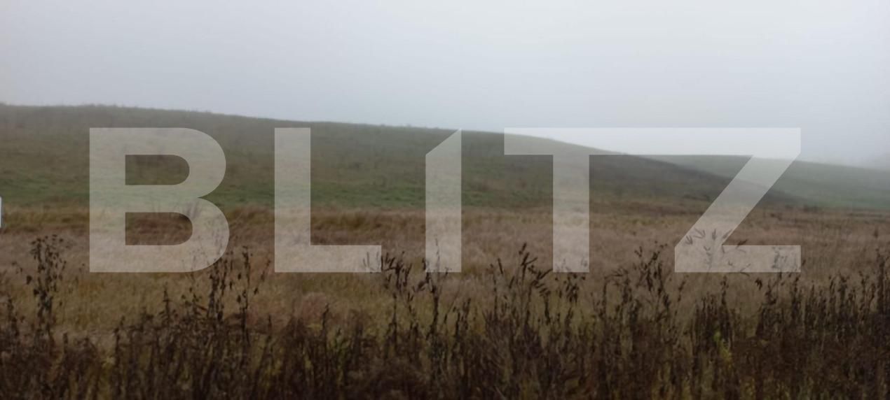 Teren de vânzare Sud-Vest - 148124TV | BLITZ Bistriţa | Poza2