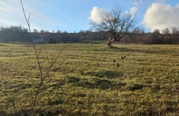 Teren extravilan ,9200mp,Unirea