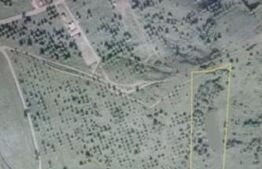 Teren extravilan ,9200mp,Unirea