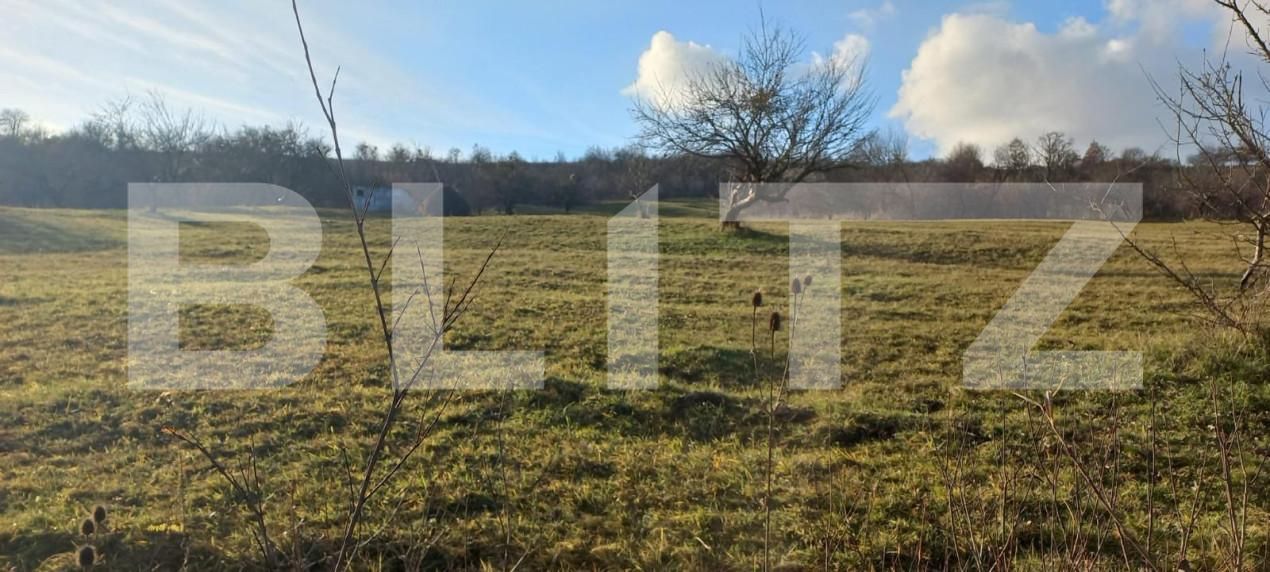 Teren de vânzare Unirea - 148125TV | BLITZ Bistriţa | Poza2