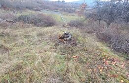 BLITZ ,vinde teren intravilan, 1000mp,Valea Rusului