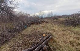 BLITZ ,vinde teren intravilan, 1000mp,Valea Rusului