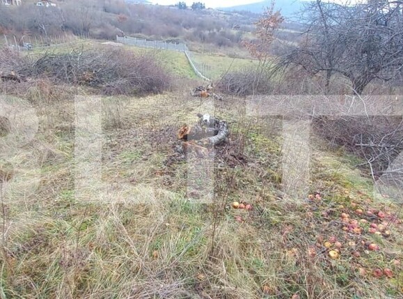 Teren de vânzare Nord-Vest - 148128TV | BLITZ Bistriţa | Poza3