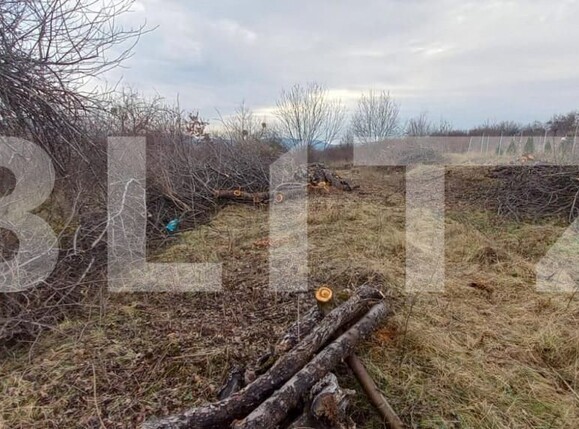 Teren de vânzare Nord-Vest - 148128TV | BLITZ Bistriţa | Poza2