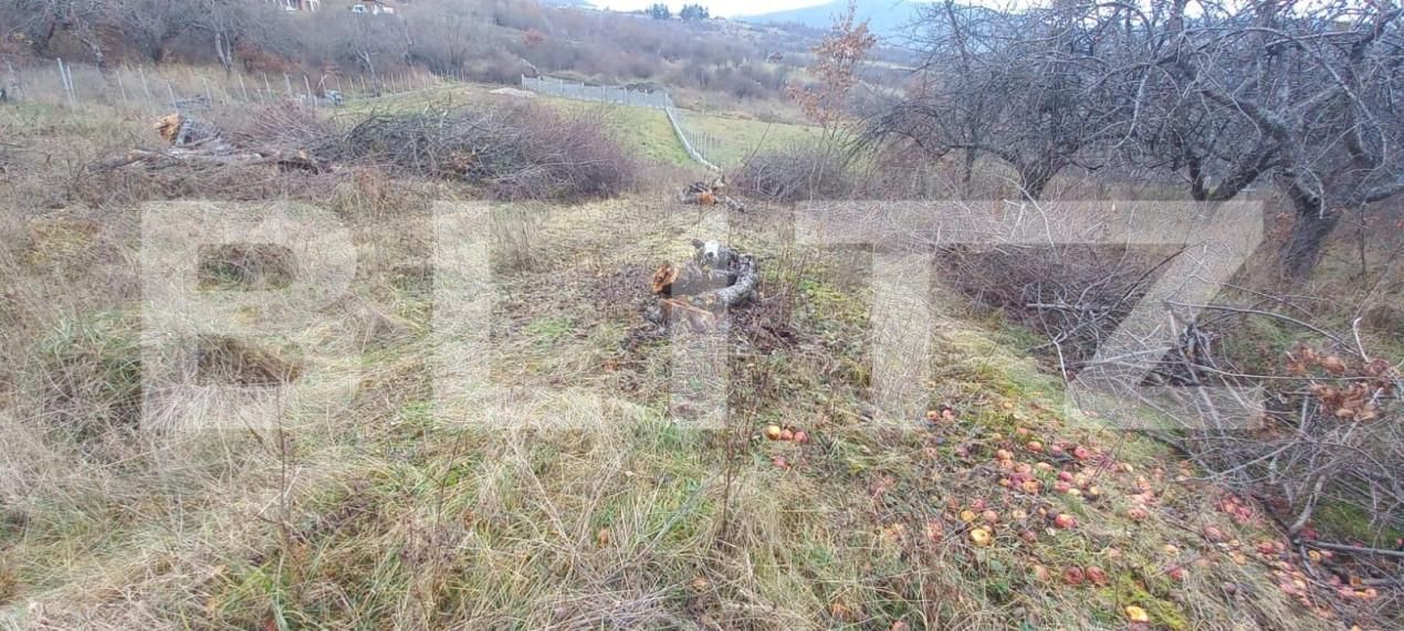 Teren de vânzare Nord-Vest - 148128TV | BLITZ Bistriţa | Poza3