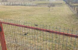 Teren intravilan de vanzare 900mp,zona Sub Cetate